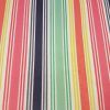 Fantasy Stripe - Suitable for 1, 1.5 and 2 inch collars
