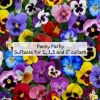 Pansy Party - Suitable for 1, 1.5 and 2 inch collars