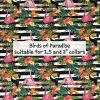 Birds of Paradies - Suitable for 1.5 and 2 inch collars