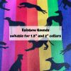 Rainbow Hounds