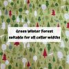 Green Winter Forest