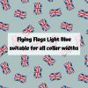 Flying Flags Light Blue